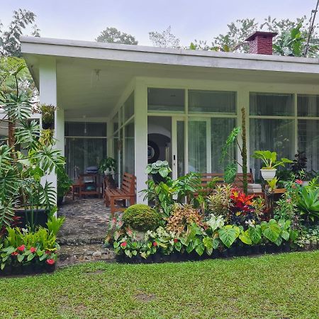 The Forest Villa โบกอร์ ภายนอก รูปภาพ