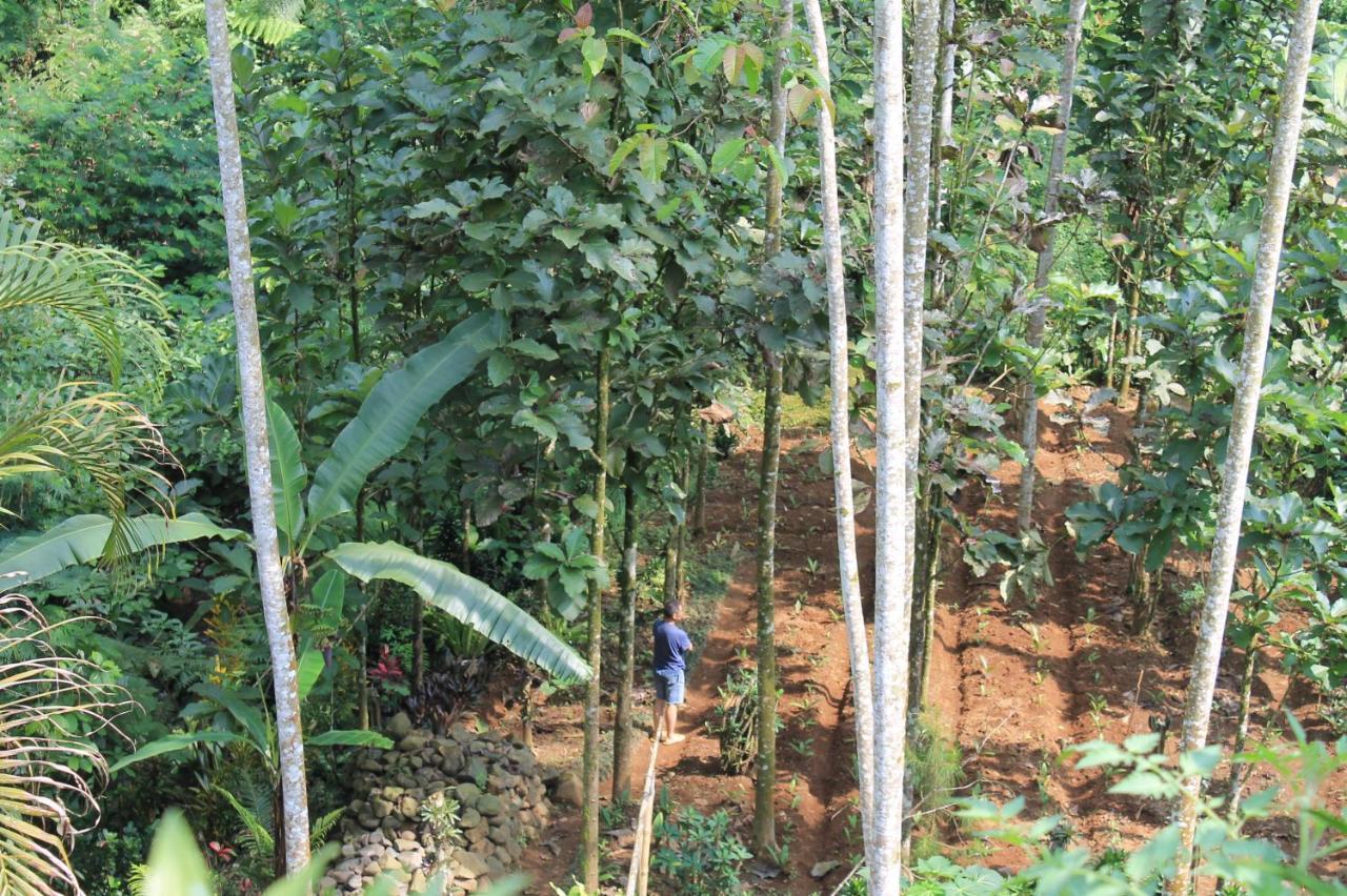The Forest Villa โบกอร์ ภายนอก รูปภาพ