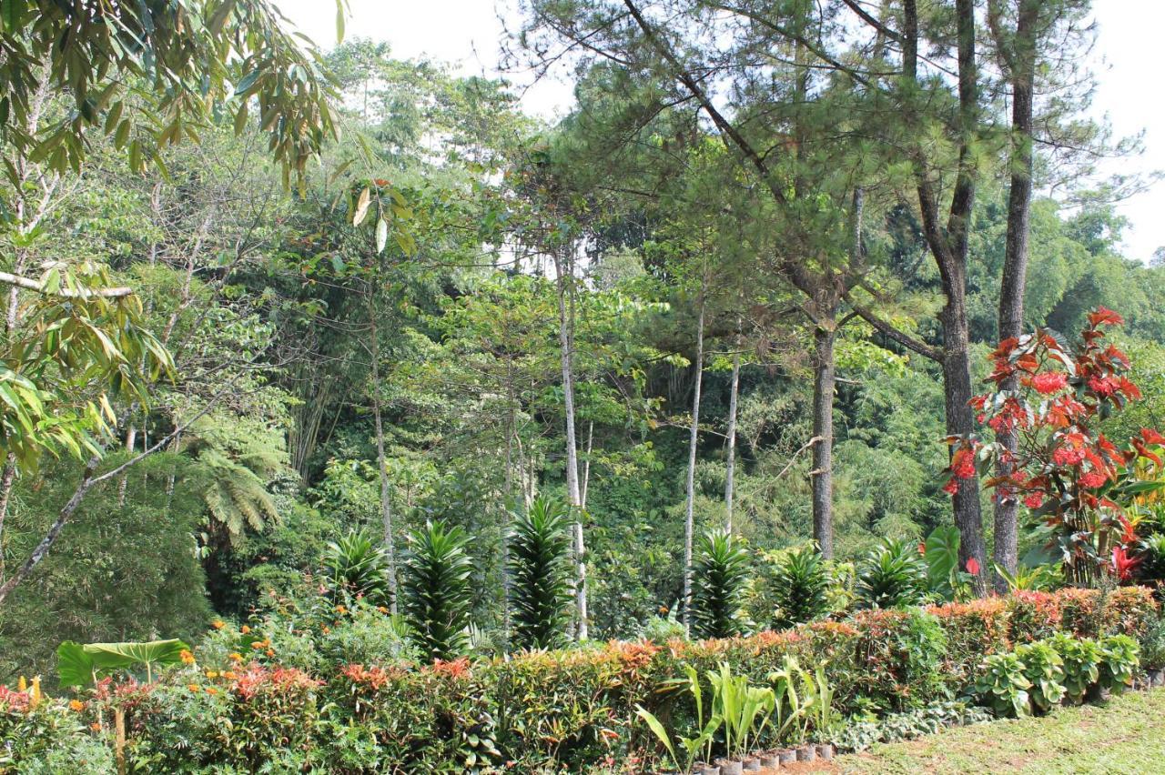 The Forest Villa โบกอร์ ภายนอก รูปภาพ