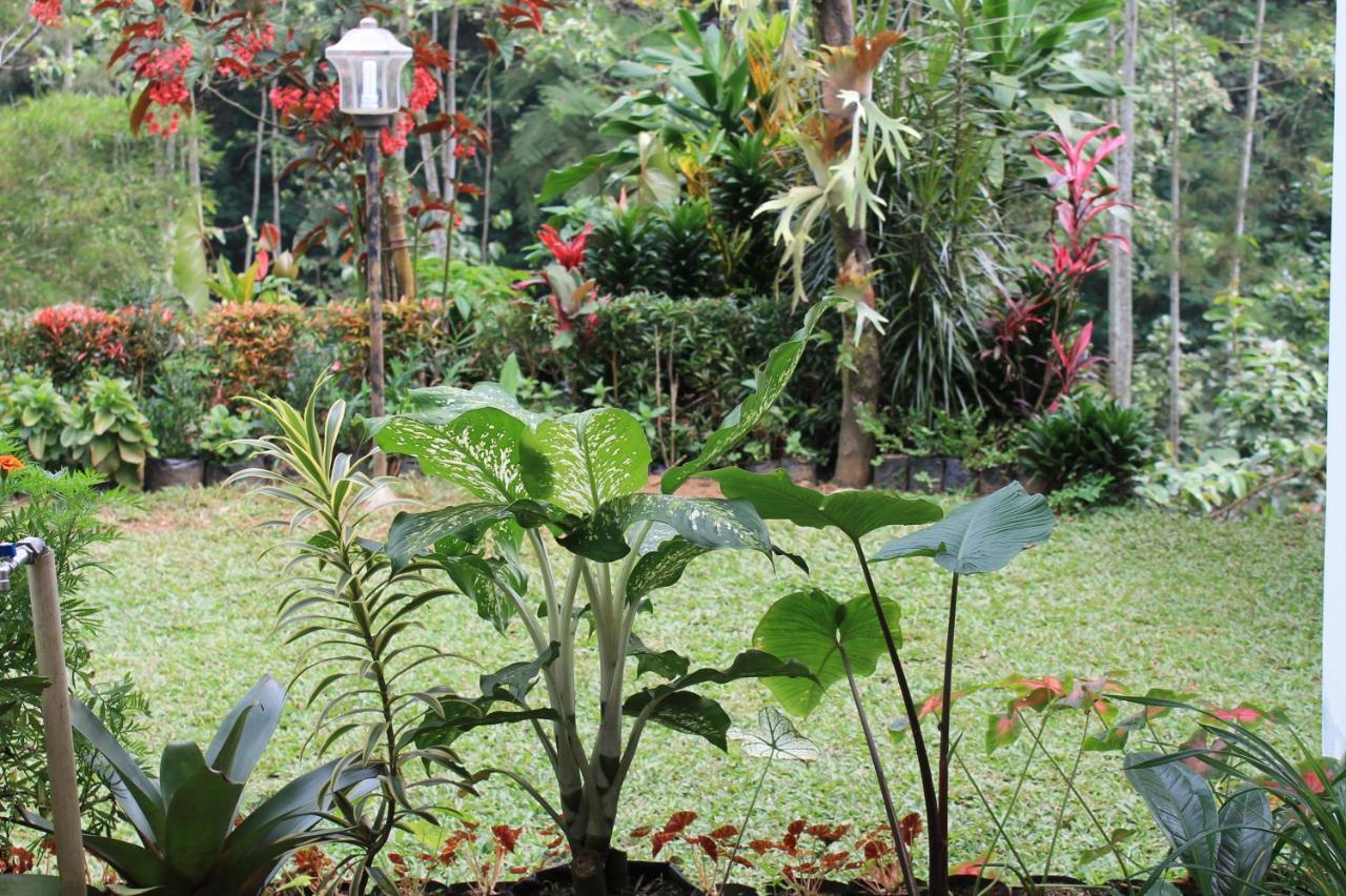 The Forest Villa โบกอร์ ภายนอก รูปภาพ