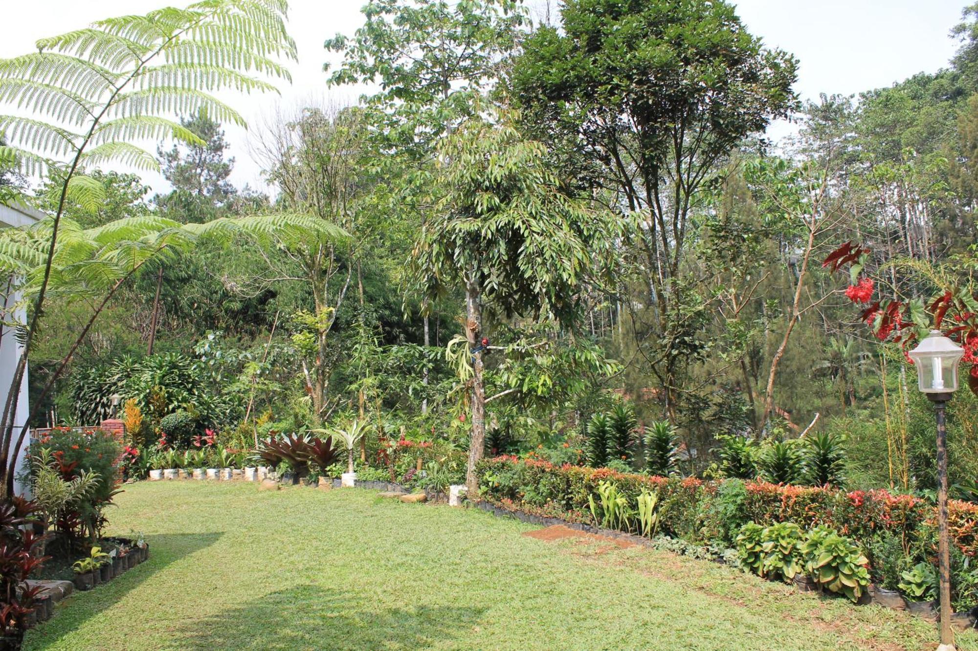 The Forest Villa โบกอร์ ภายนอก รูปภาพ