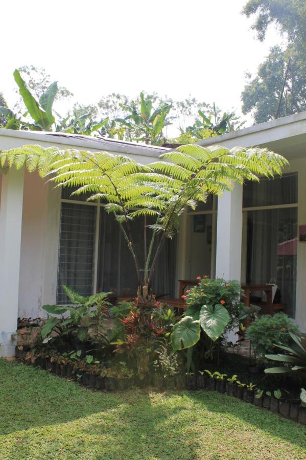 The Forest Villa โบกอร์ ภายนอก รูปภาพ
