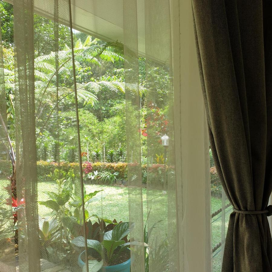 The Forest Villa โบกอร์ ภายนอก รูปภาพ
