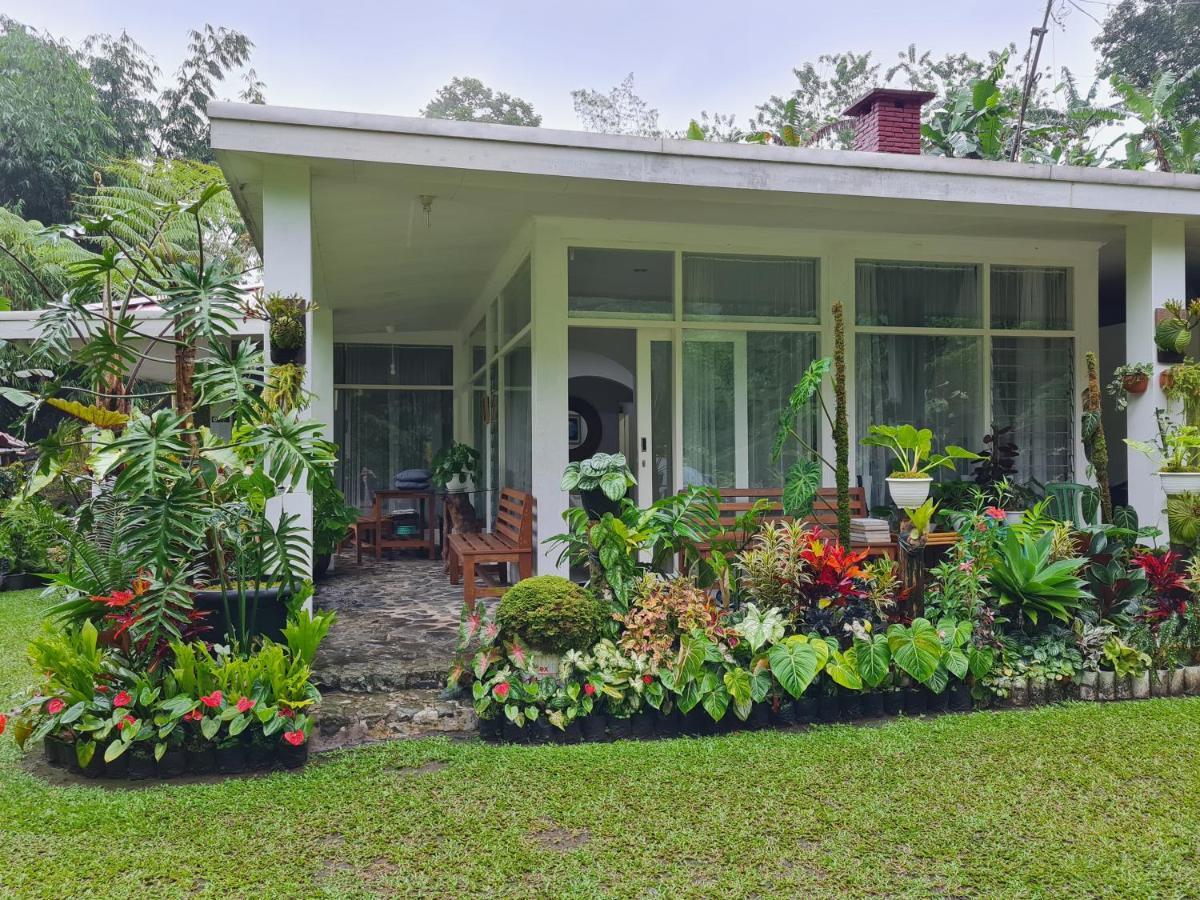 The Forest Villa โบกอร์ ภายนอก รูปภาพ